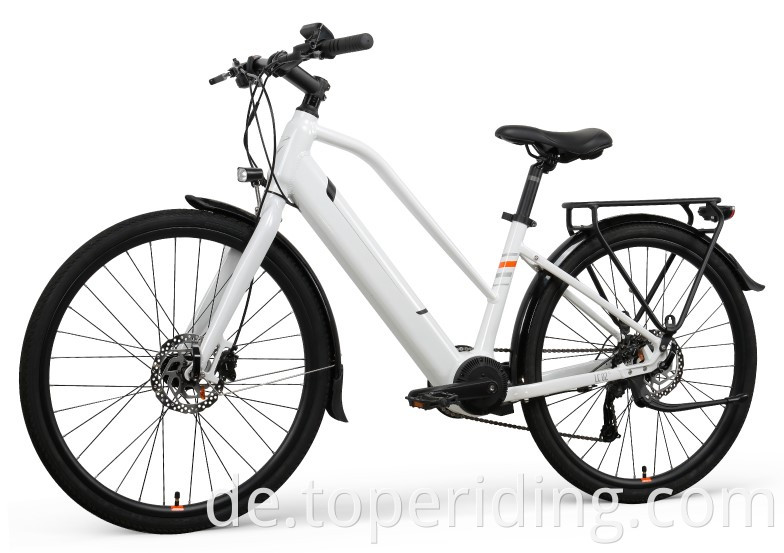 26 Inch Electric Bike